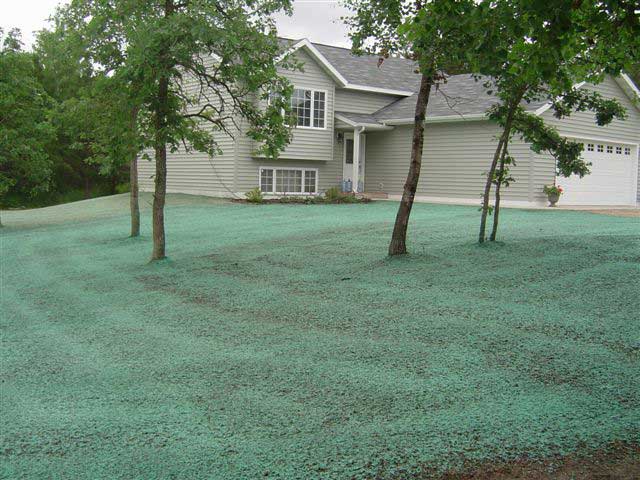 hydro mulching results