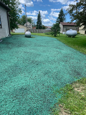 hydro mulching results