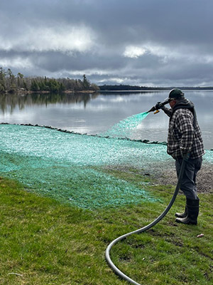hydro mulching results