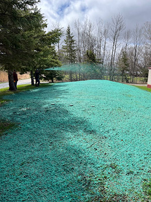 hydro mulching results