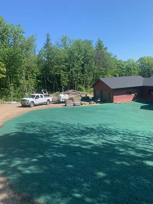 hydro mulching results