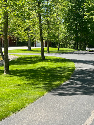 hydro mulching results