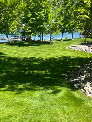 hydro mulching results